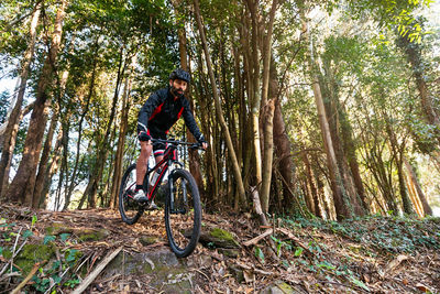 Man riding bicycle in forest