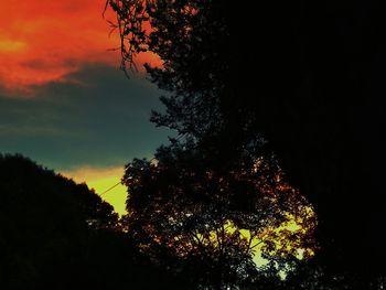 Low angle view of silhouette trees against sky at sunset