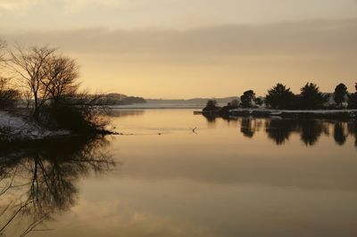 reflection