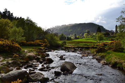 Scenic view of river by trees against sky