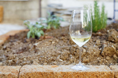 Close-up of wine glass on table