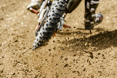 Low section of biker on dirt field