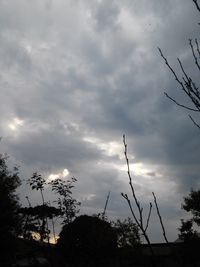 Low angle view of silhouette trees against sky