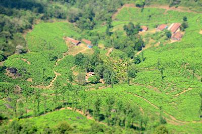 Scenic view of rural landscape