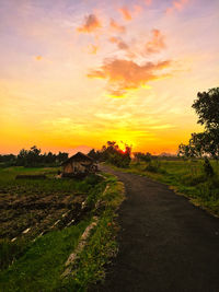 Scenic view of field against sky during sunset