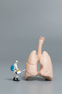 Close-up of stuffed toy on table against white background