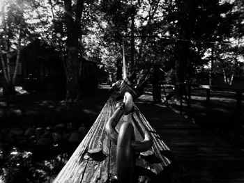 Close-up of wood against trees