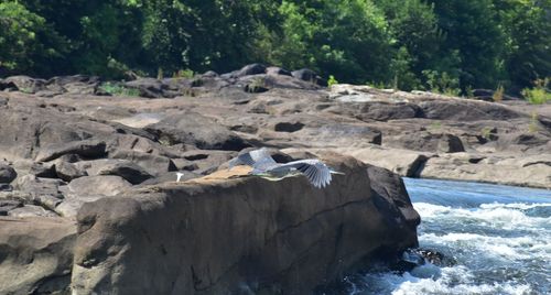 Scenic view of rocks by sea