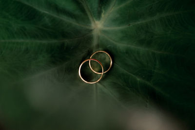 High angle view of wedding rings on leaf