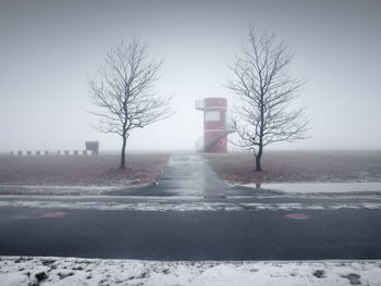 Bare trees by road on field against clear sky during foggy weather