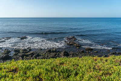 Scenic view of sea against clear sky