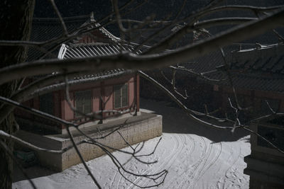 Low angle view of building and tree during winter