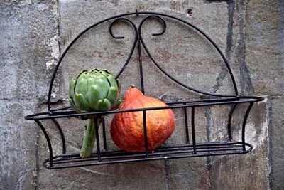 Fruits in rack hanging against wall