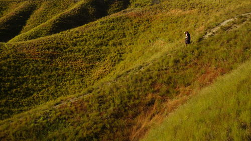 Man and woman walking on grass