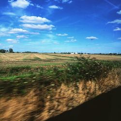 Scenic view of field against blue sky