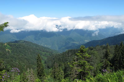 Scenic view of mountains against sky