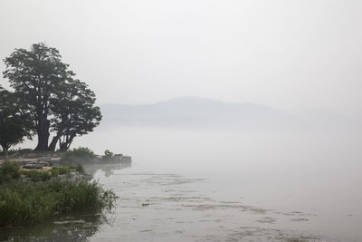 Scenic view of sea with trees in background