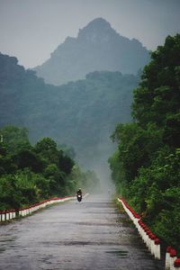 Road amidst trees against mountains