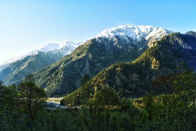 Trees by snowcapped mountains against clear sky