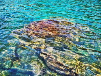 Full frame shot of water surface