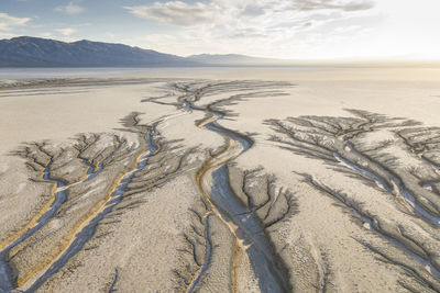 Erosion cuts fratcal tree looking patterns into a dry lake bed i