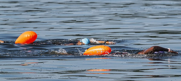 Two women swimming in the open water, from left to right, triathlon training with orange flotation.