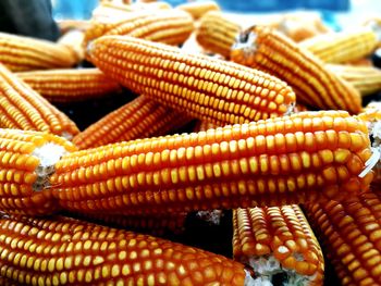 Close-up of carrots for sale in market