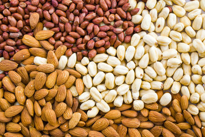 Almonds, peanut and hazelnuts in the bowl, beer and healthy snack, high angle view