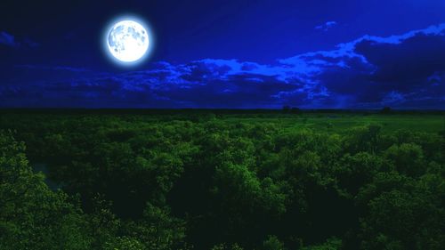 Scenic view of field against sky at night