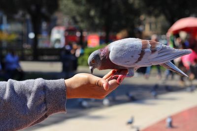 Close-up of hand holding ice cream