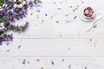 High angle view of purple flowering plant on table