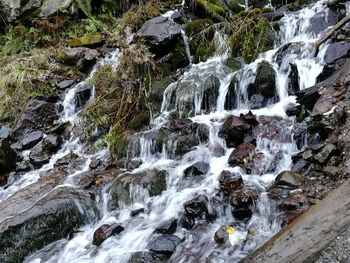 Scenic view of waterfall in forest