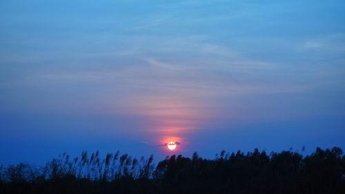 Silhouette trees against sky during sunset