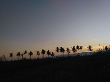 Silhouette palm trees against clear sky during sunset