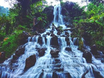 View of waterfall in forest