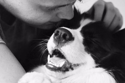 Close-up of dog yawning at home