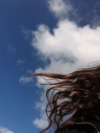 Close-up of bare tree against sky