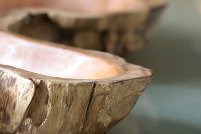 Close-up of shell on tree stump