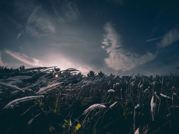 Scenic view of landscape against cloudy sky