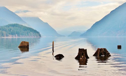 Dead trees in lake by mountains against sky
