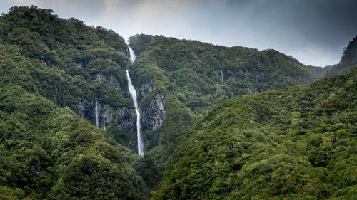 Scenic view of waterfall in forest against sky