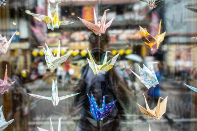 Close-up of flowers hanging on glass for sale