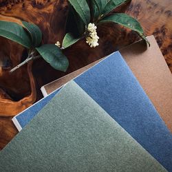 Directly above shot of books by plant on table