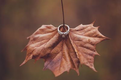 Engagement ring on autumn leaf