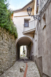 A narrow street between the old houses of petina, a village of salerno province, italy.