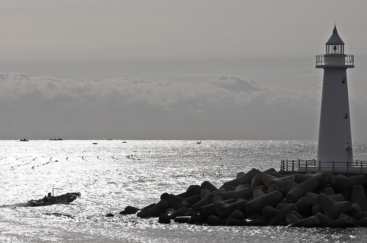 BIRD ON GROYNE AGAINST SEA