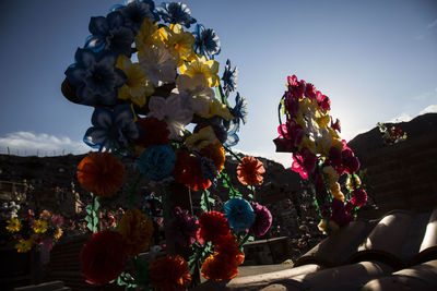 Low angle view of flowering plants against sky