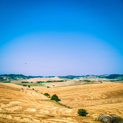 Scenic view of agricultural field against clear blue sky