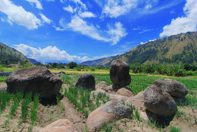 Scenic view of rocks on field against sky