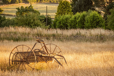 Antique hay rake in a farmers field at sunset.